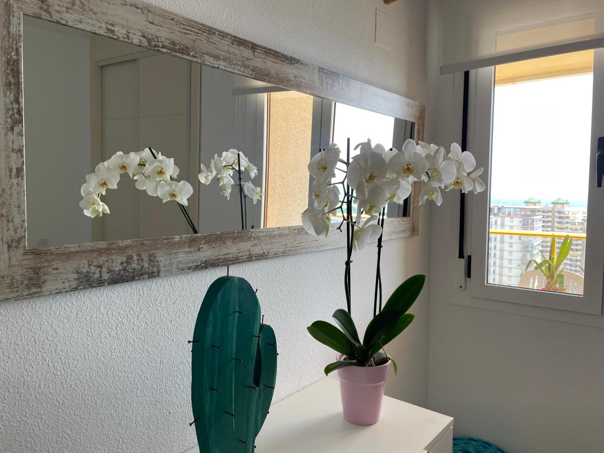 Apto One More Day In Ambar Calpe Exterior foto